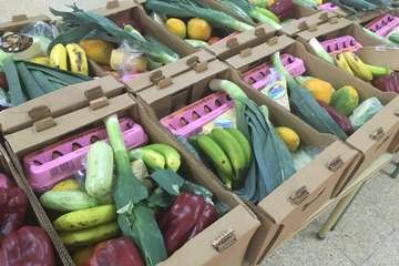 El Cabildo reparte cestas de 14 kilos de verduras, frutas y quesos a familias de Telde (Foto TA)